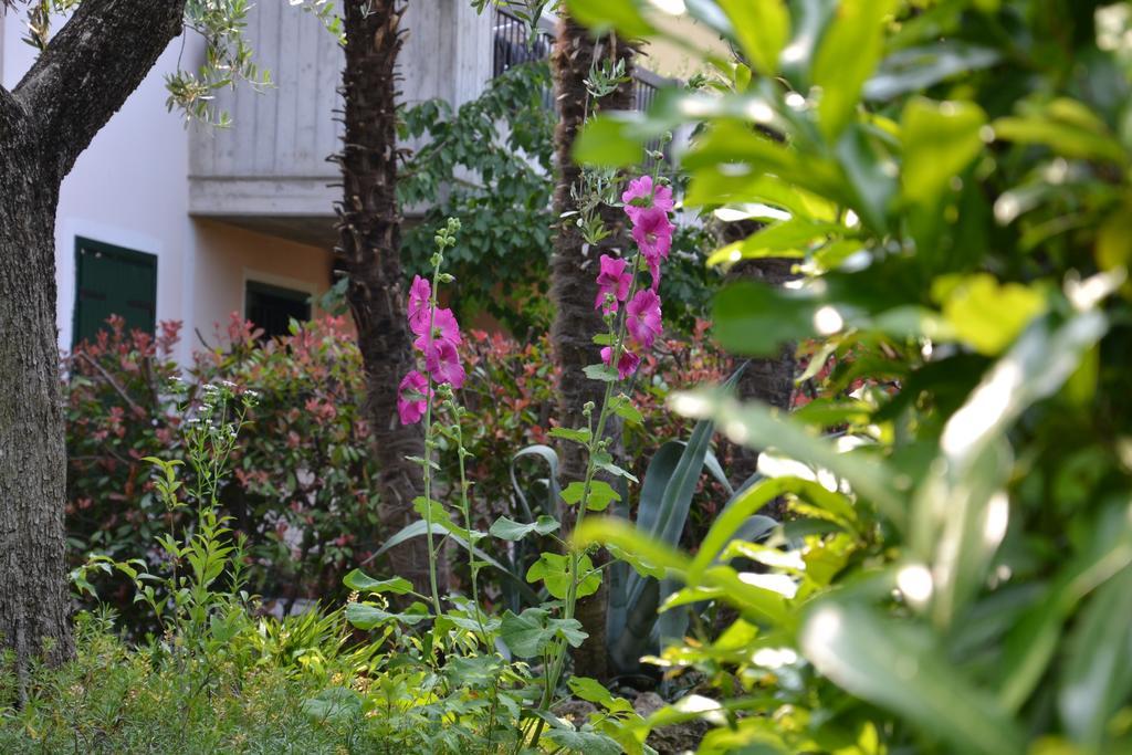 B&B Garda 4U Desenzano del Garda Dış mekan fotoğraf